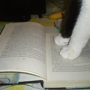 Meet your Posher, Terry